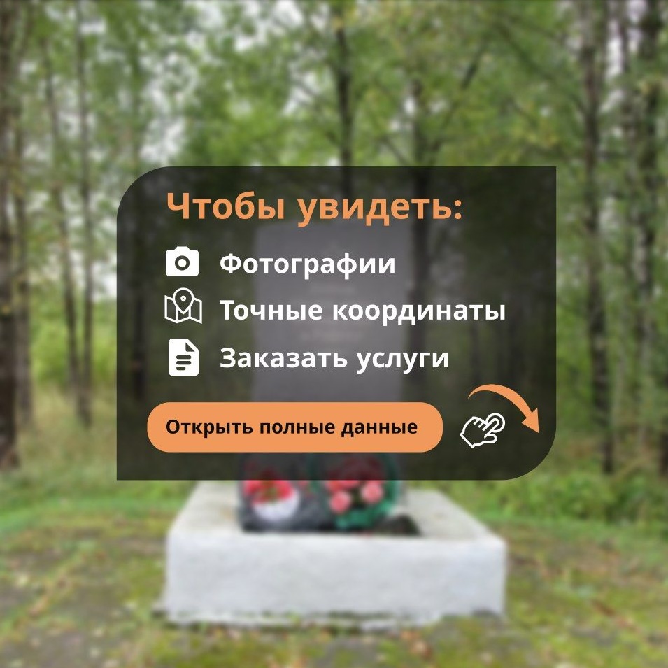 Нет изображения